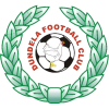 主队